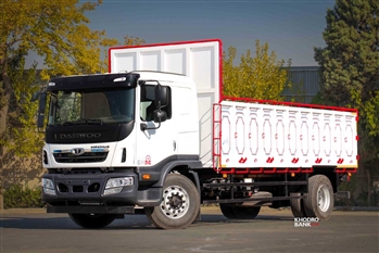 بررسی کامیون باری 18 تن باری دوو مدل Doosan با کاربری باری چوبی - 10