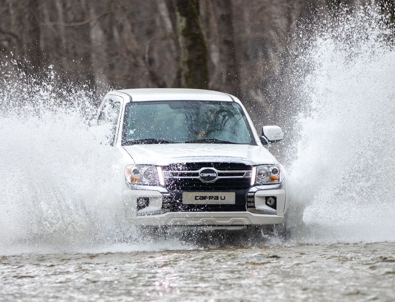 عکس کاپرا یو