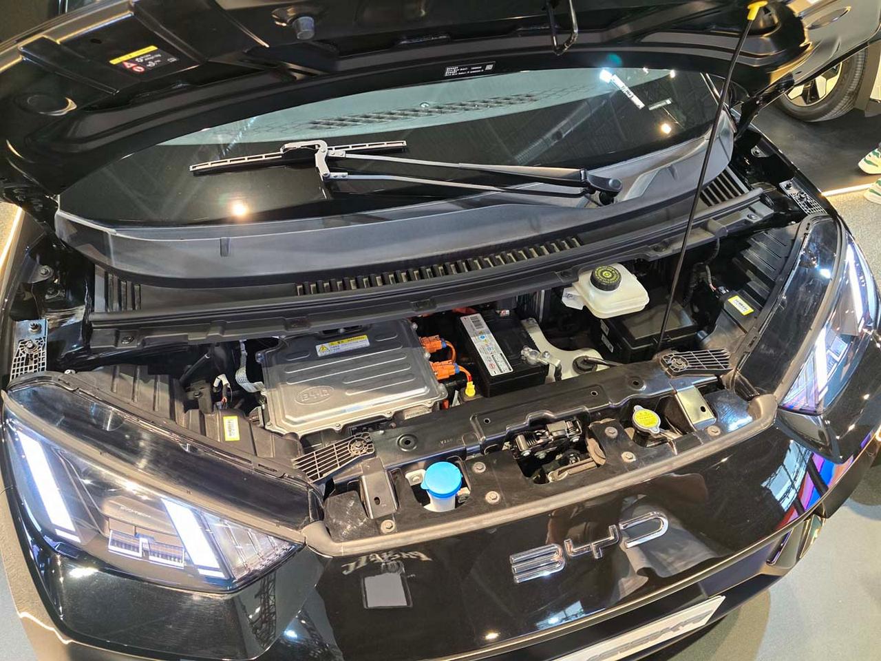 بی وای دی سیگال