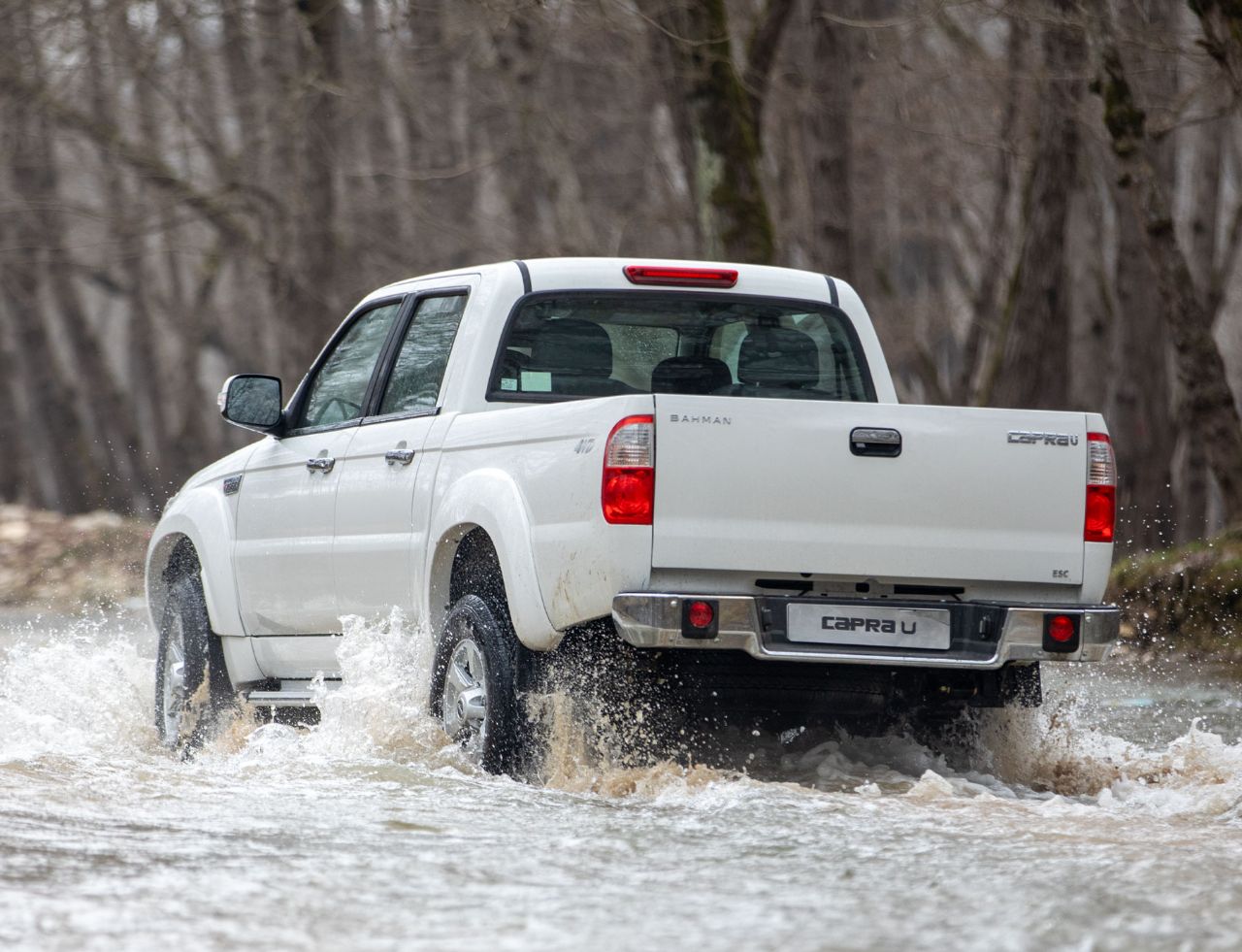 عکس کاپرا یو