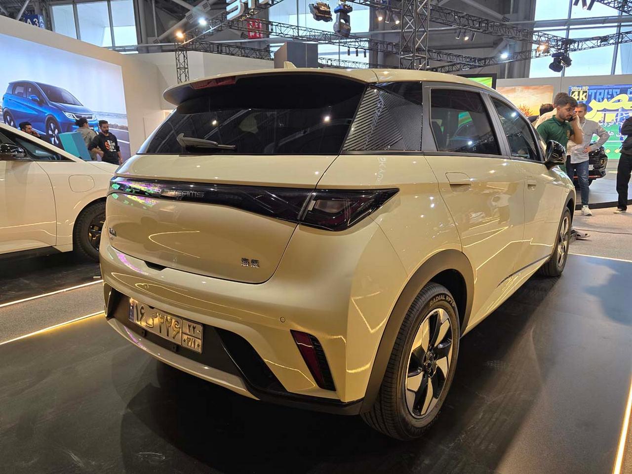 بی وای دی دلفین