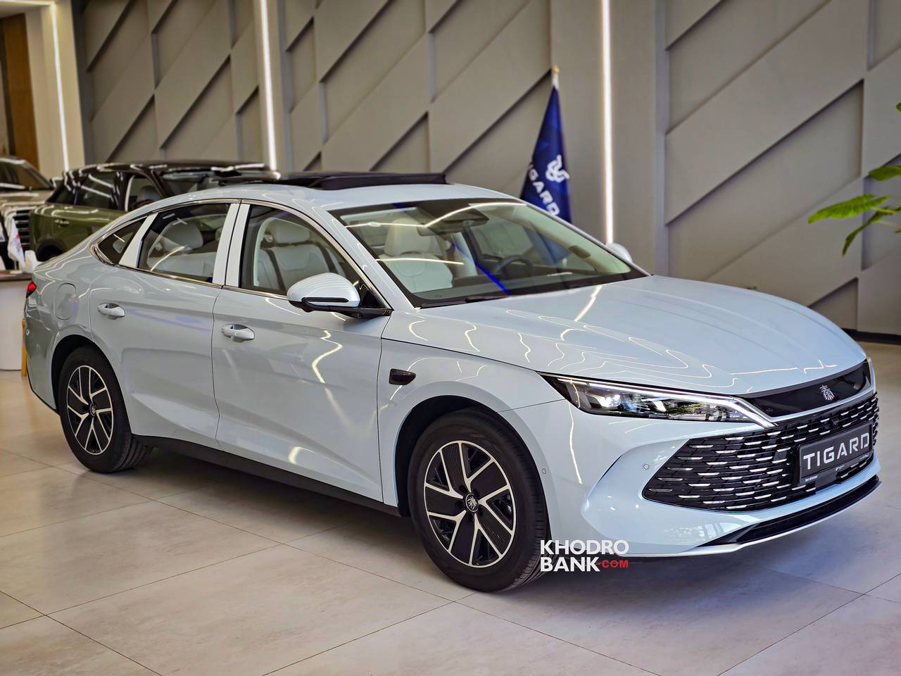 بی وای دی چین ال