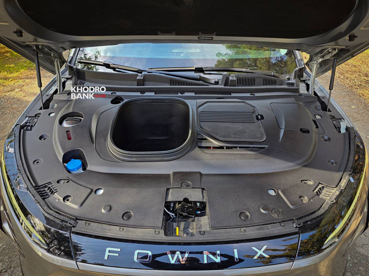 فونیکس FX برقی