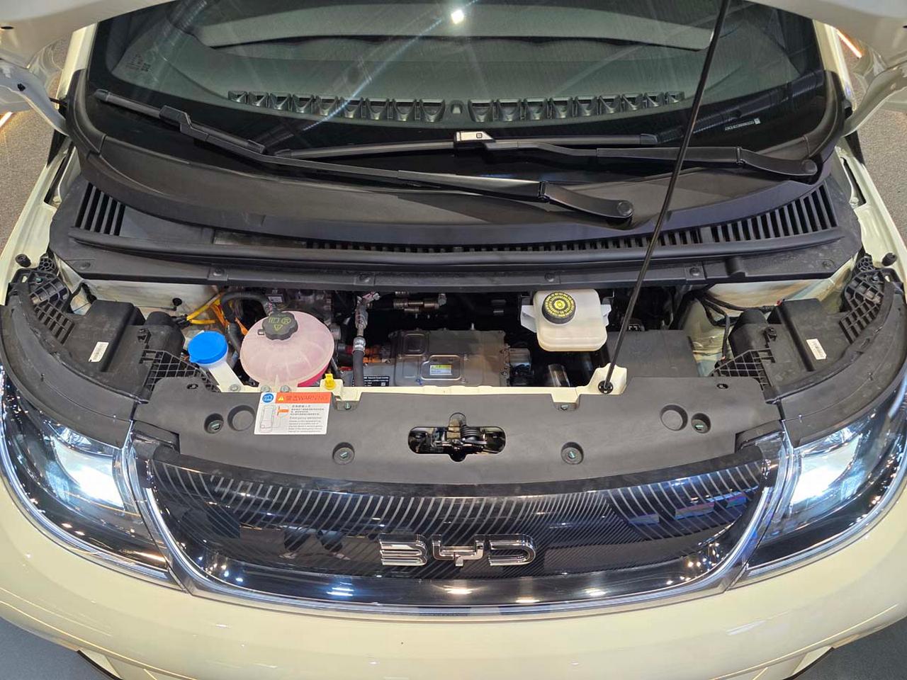 بی وای دی دلفین