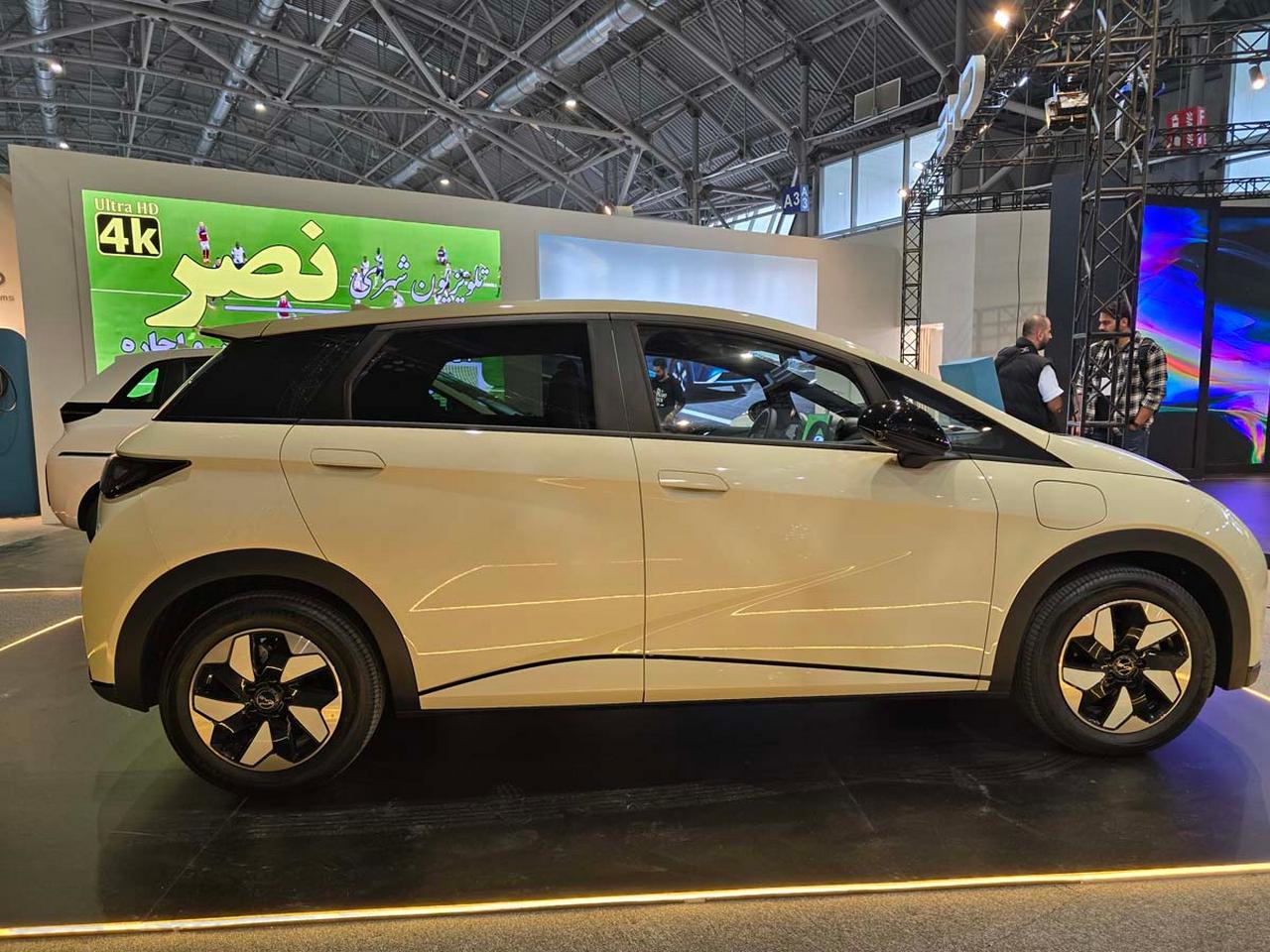 بی وای دی دلفین