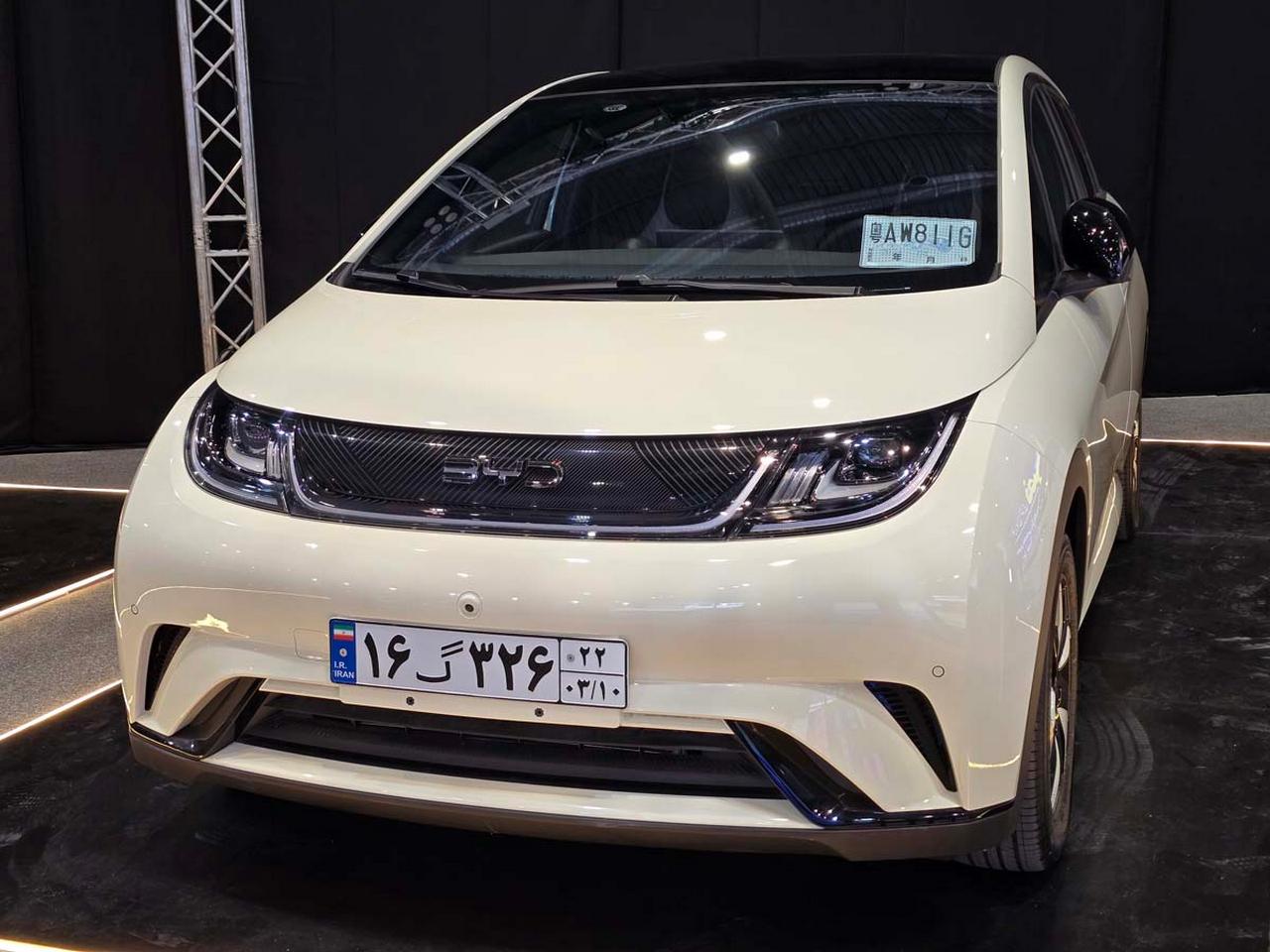 بی وای دی دلفین