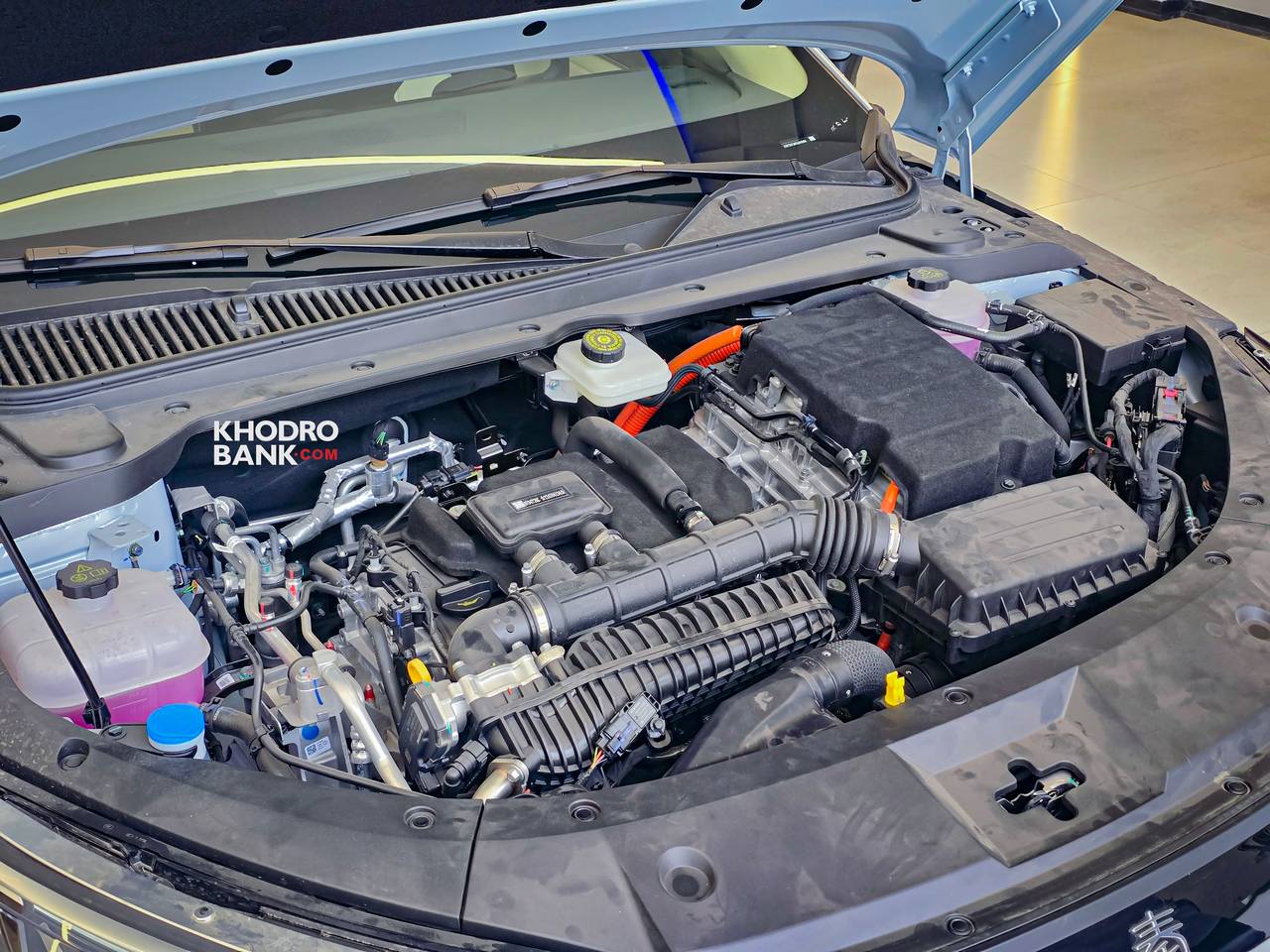 بی وای دی چین ال