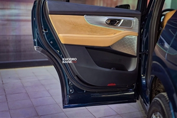 رودری عقب جی ای سی ES9