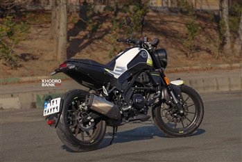 بنلی لئونچینو - 19