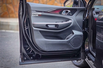 عکس از جزدیات طراحی رودری ها در ماشین تیگارد تیسان S05