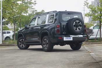 هاوال H9 - 25