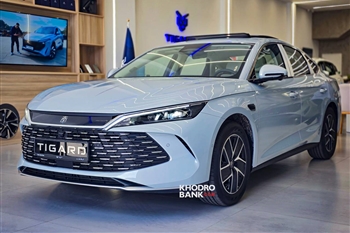 بی وای دی چین ال - 0