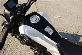 بنلی لئونچینو - 16