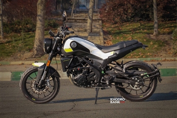 بنلی لئونچینو - 11