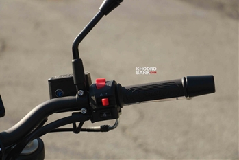 بنلی لئونچینو - 14