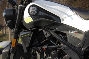 بنلی لئونچینو - 6