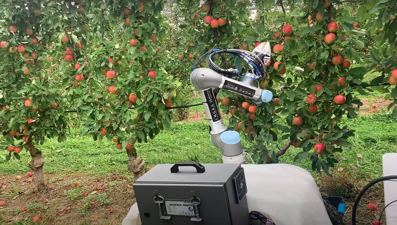 روبات‌های مخصوص برداشت سیب در باغ! + فیلم