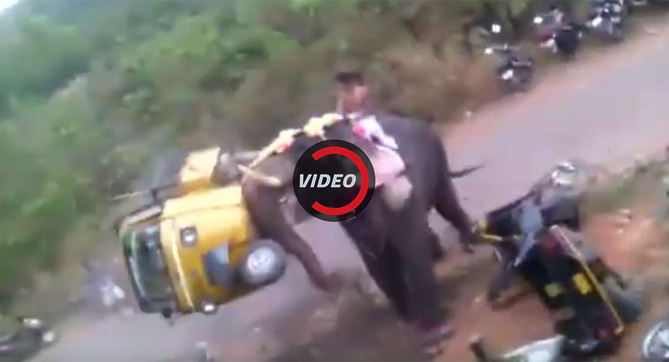 متلاشی کردن موتورسیکلت‌ها توسط فیل عصبانی + فیلم
