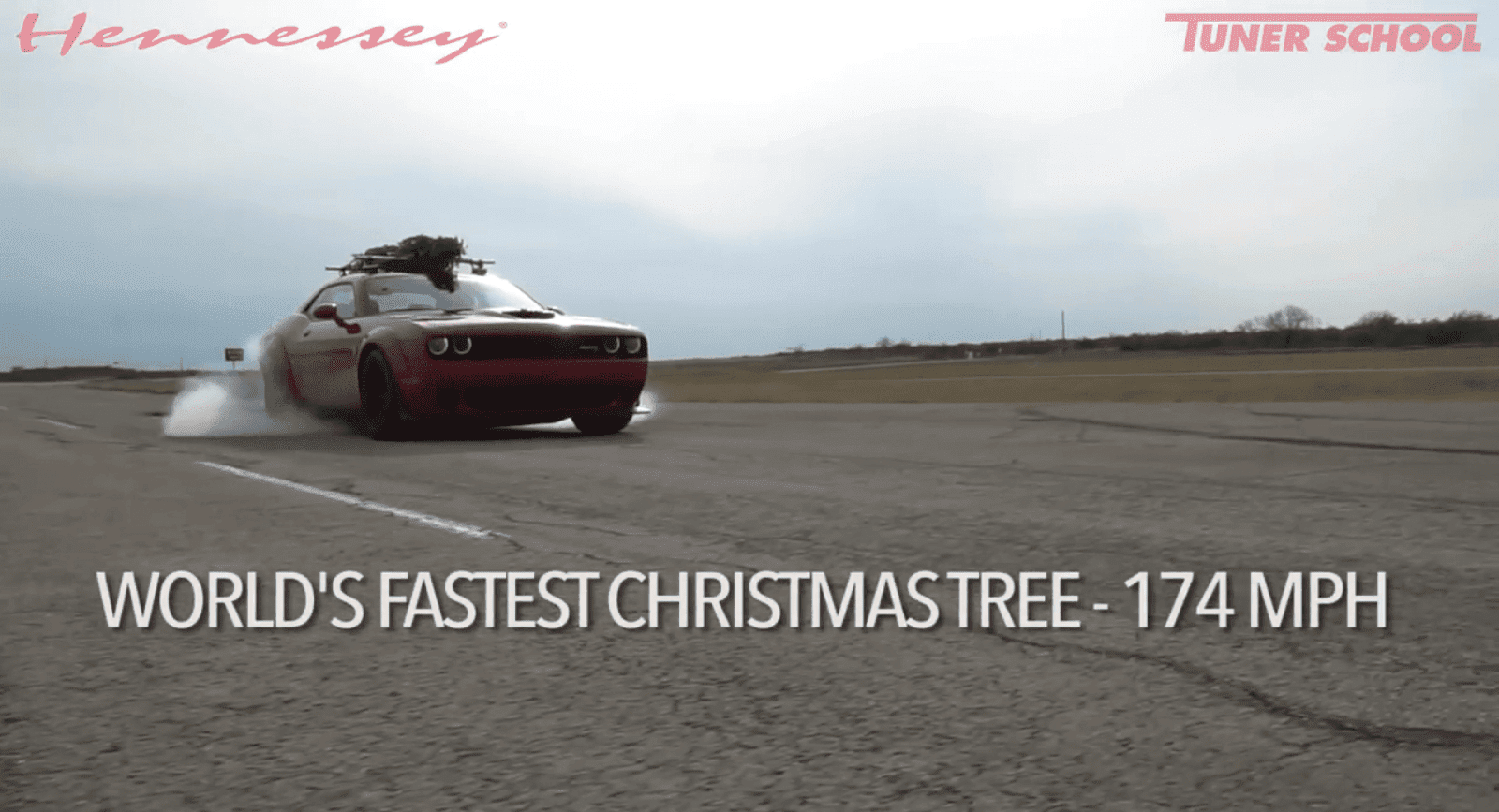 سریع‌ترین درخت کریسمس جهان را ببینید!